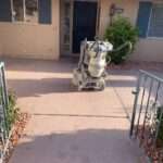 140466656 215534406888442 5785413339938457184 o