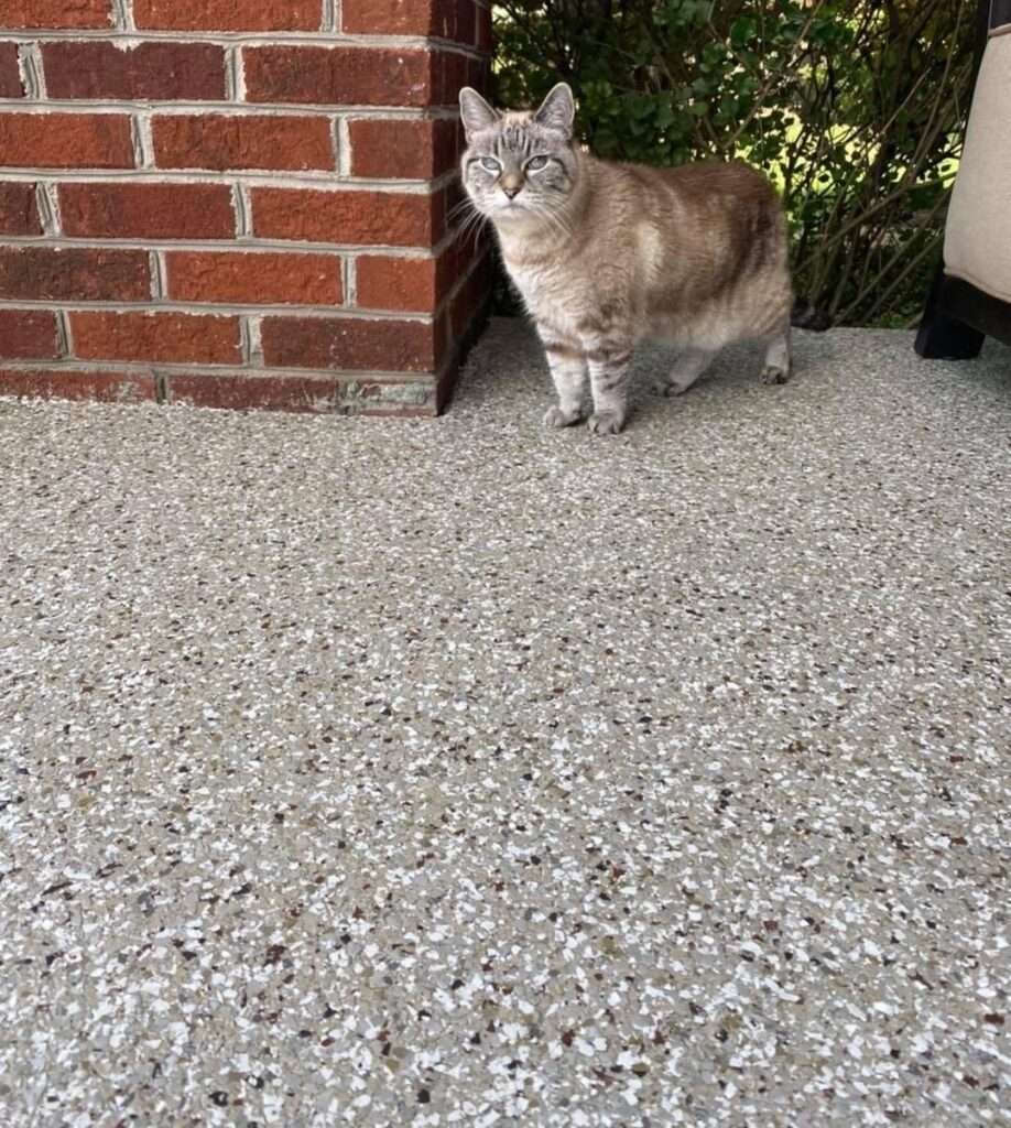 Galaxy Patio Coating CatPic