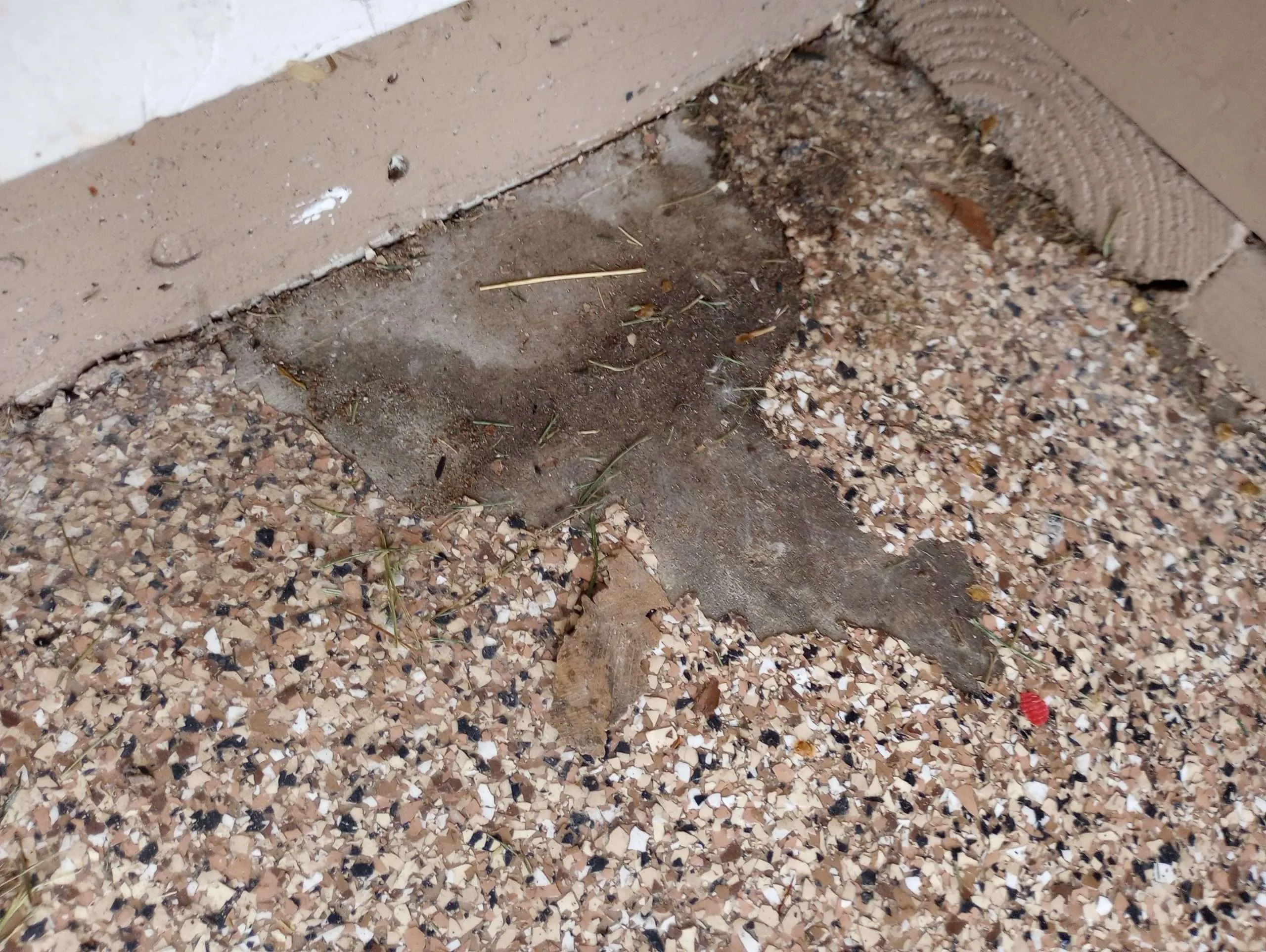 Garage floor that had epoxy coating on it