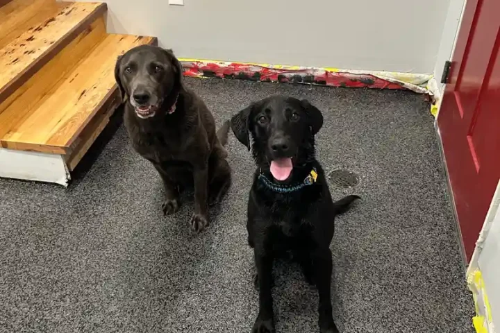 high traffic area flooring