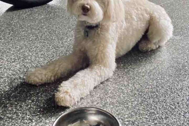 applying polyaspartic coating