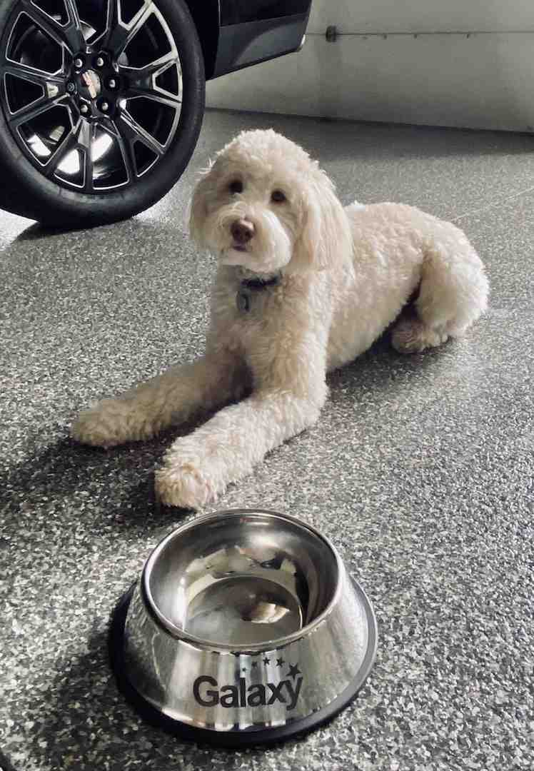 applying polyaspartic coating